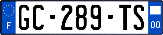 GC-289-TS