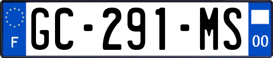 GC-291-MS
