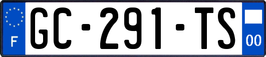 GC-291-TS