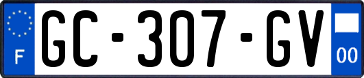 GC-307-GV