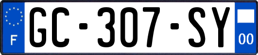GC-307-SY