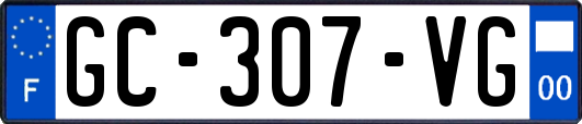GC-307-VG