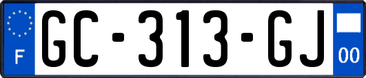 GC-313-GJ