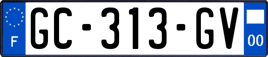 GC-313-GV