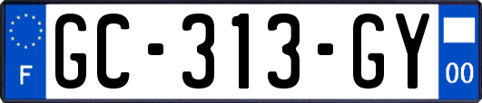 GC-313-GY