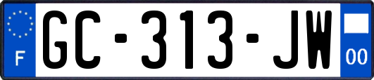 GC-313-JW