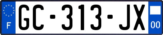 GC-313-JX