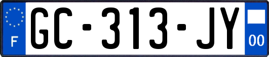GC-313-JY