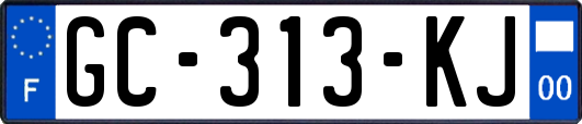GC-313-KJ