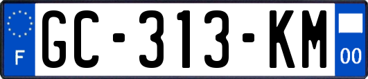 GC-313-KM