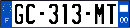 GC-313-MT