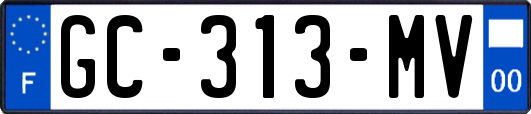 GC-313-MV