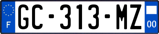 GC-313-MZ