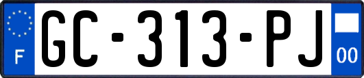 GC-313-PJ
