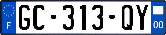 GC-313-QY