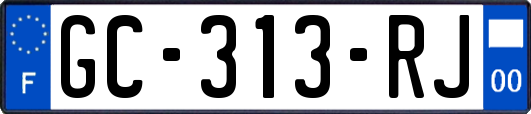 GC-313-RJ