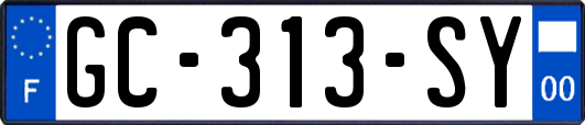 GC-313-SY