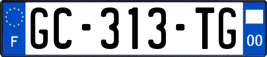 GC-313-TG