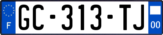 GC-313-TJ