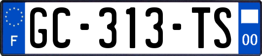 GC-313-TS