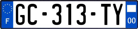 GC-313-TY