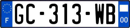GC-313-WB