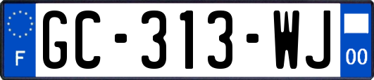 GC-313-WJ