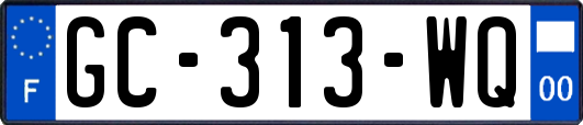 GC-313-WQ