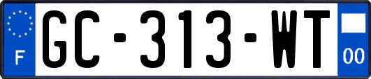 GC-313-WT