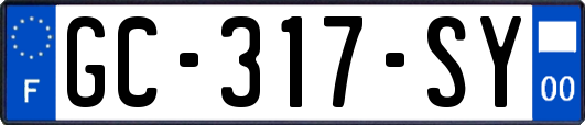GC-317-SY