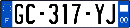 GC-317-YJ