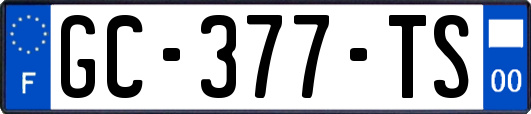 GC-377-TS