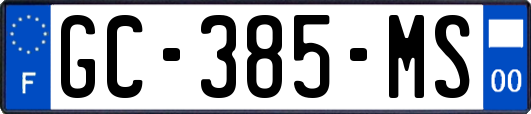 GC-385-MS