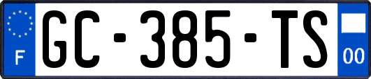 GC-385-TS