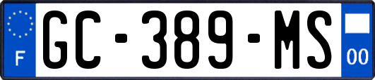 GC-389-MS