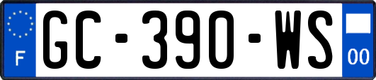 GC-390-WS