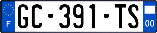 GC-391-TS