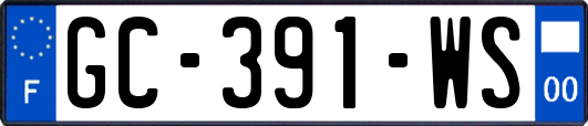 GC-391-WS