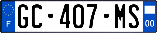 GC-407-MS