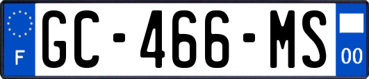 GC-466-MS