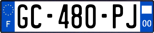 GC-480-PJ
