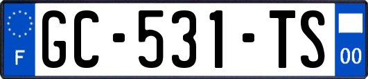 GC-531-TS