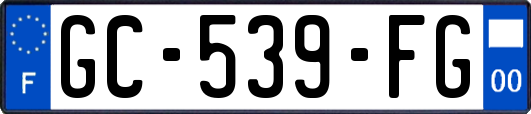 GC-539-FG