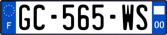 GC-565-WS