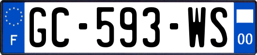 GC-593-WS