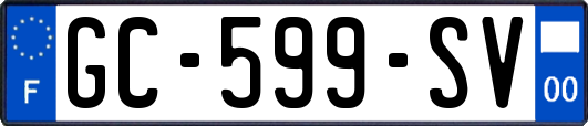 GC-599-SV