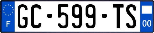 GC-599-TS