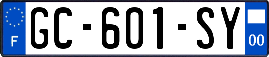 GC-601-SY
