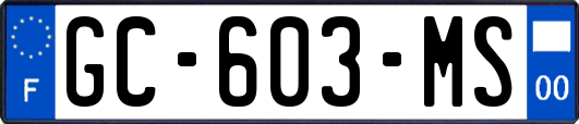 GC-603-MS