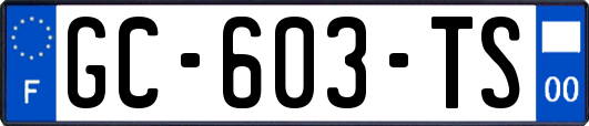 GC-603-TS